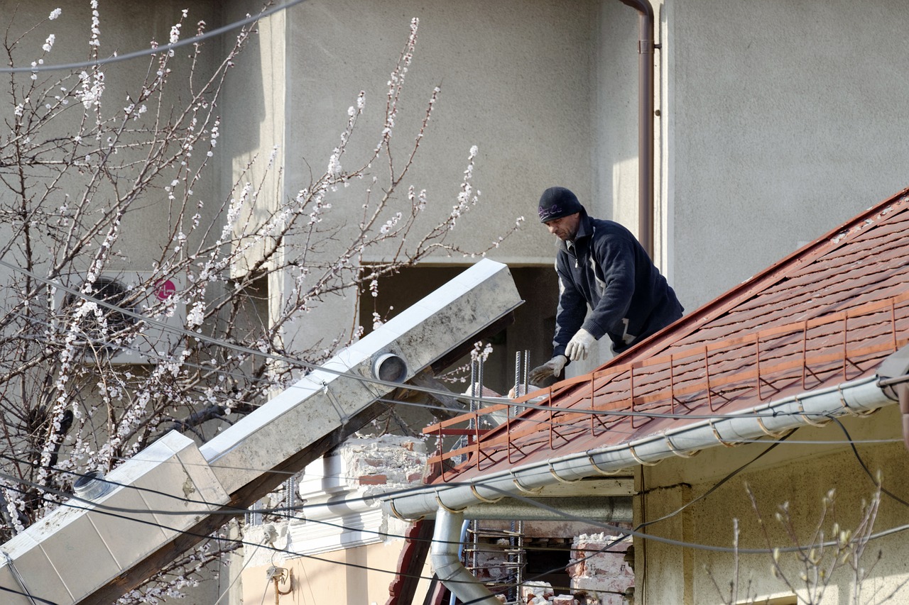 man, nature, the person, worker, work, roof, home, tile, demolition of the, building, the gutter, the exhaust, the debris, tree, blooming, spring